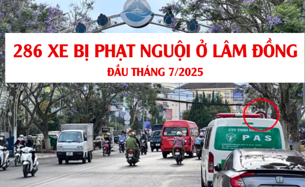286 biển số xe bị phạt nguội ở Lâm Đồng đầu tháng 7/2025