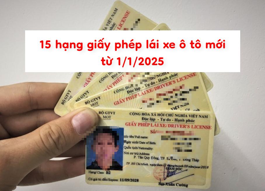 15 hạng giấy phép lái xe ô tô mới